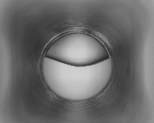X0000112721260200908200939