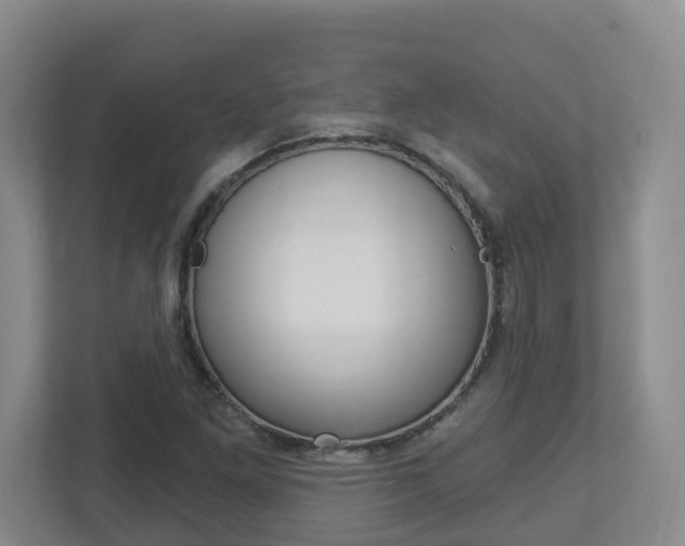 X0000112721261200908200939