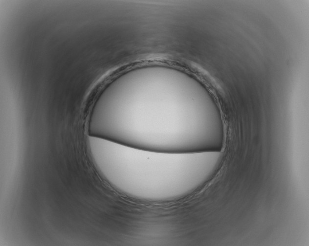 X0000112721262200908200939