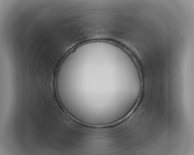 X0000112721265200908200939