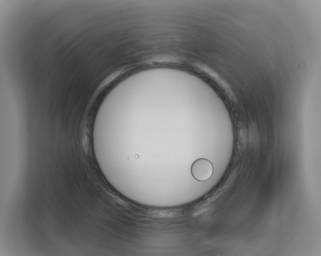 X0000112721266200908200939