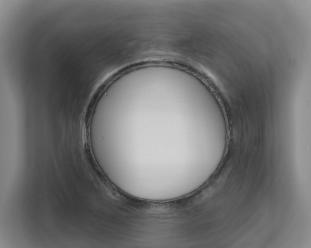 X0000112721267200908200939