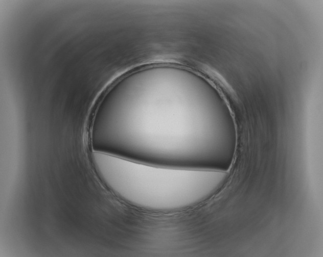 X0000112721268200908200939