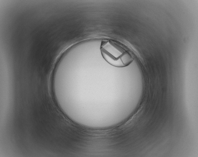 X0000112721269200908200939