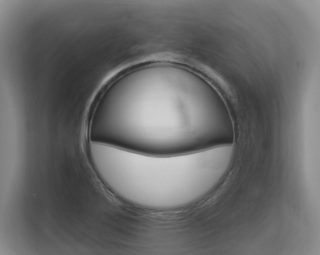 X0000112721272200908200939
