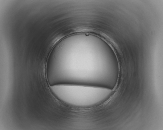 X0000112721273200908200939