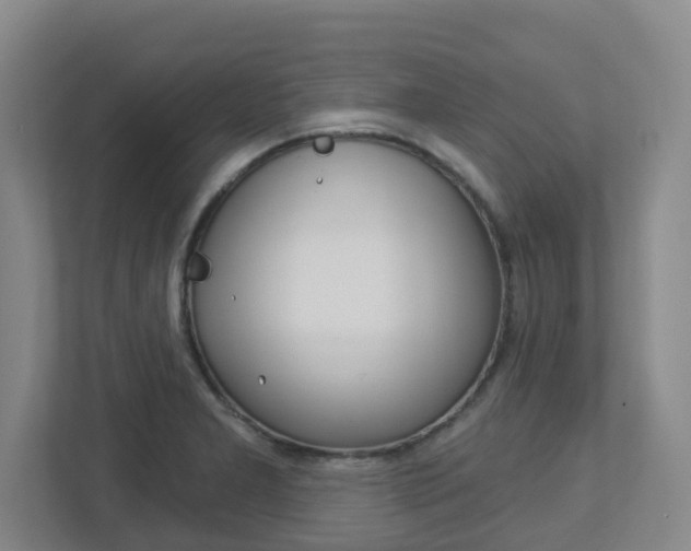 X0000112721277200908200939