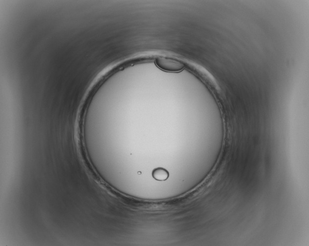 X0000112721279200908200939