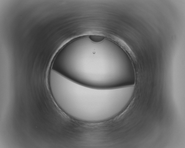 X0000112721284200908200939