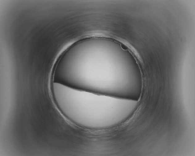 X0000112721285200908200939