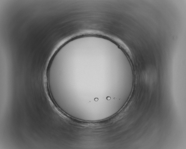 X0000112721287200908200939