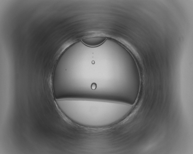 X0000112721289200908200939