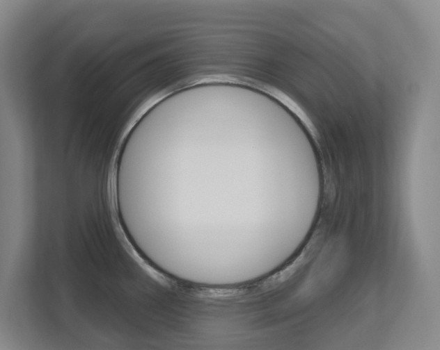 X0000112721290200908200939