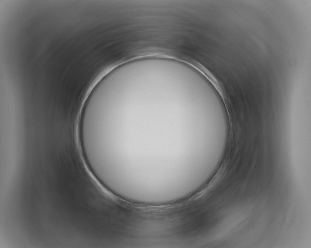 X0000112721293200908200939