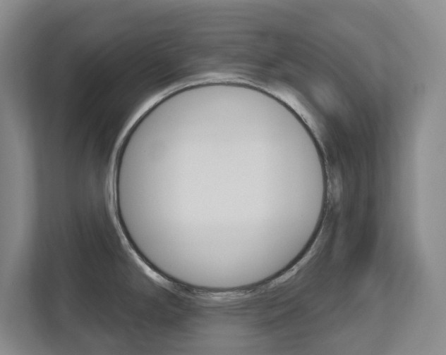 X0000112721294200908200939