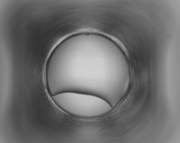X0000112721295200908200939