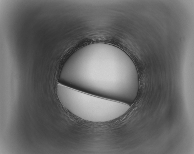 X0000112721297200908200938