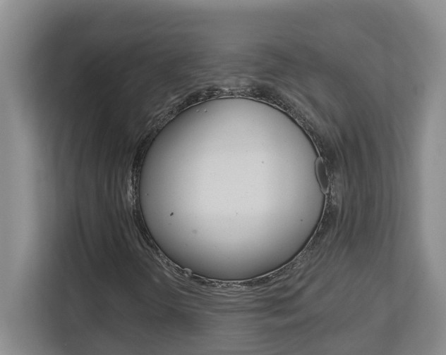 X0000112721298200908200938