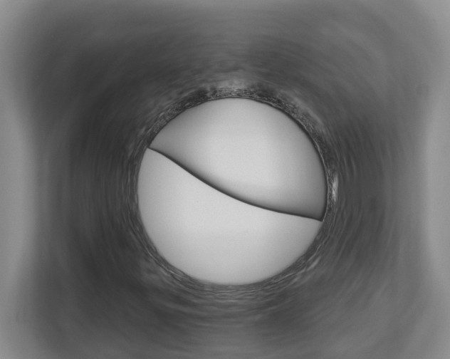 X0000112721299200908200938