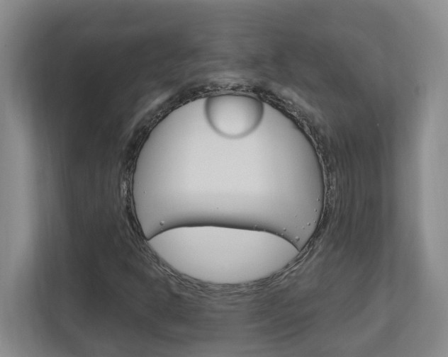 X0000112721302200908200938