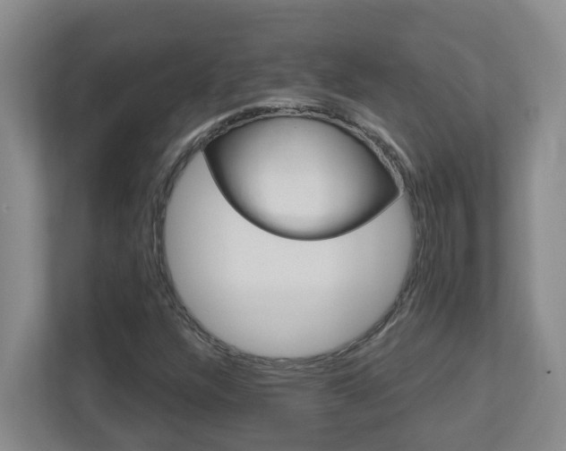 X0000112721304200908200938