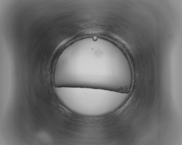 X0000112721306200908200938
