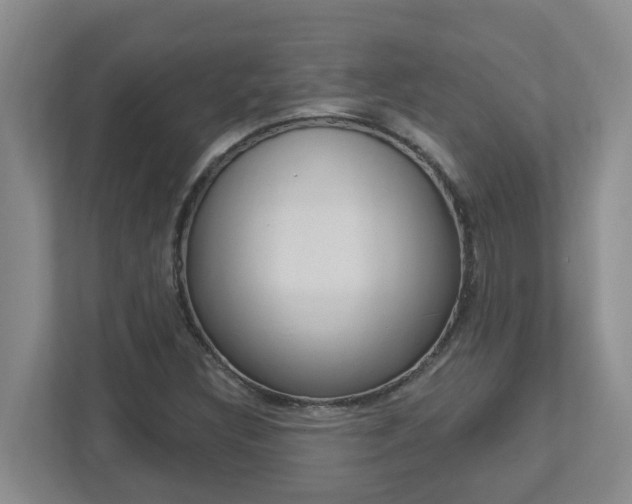 X0000112721308200908200938
