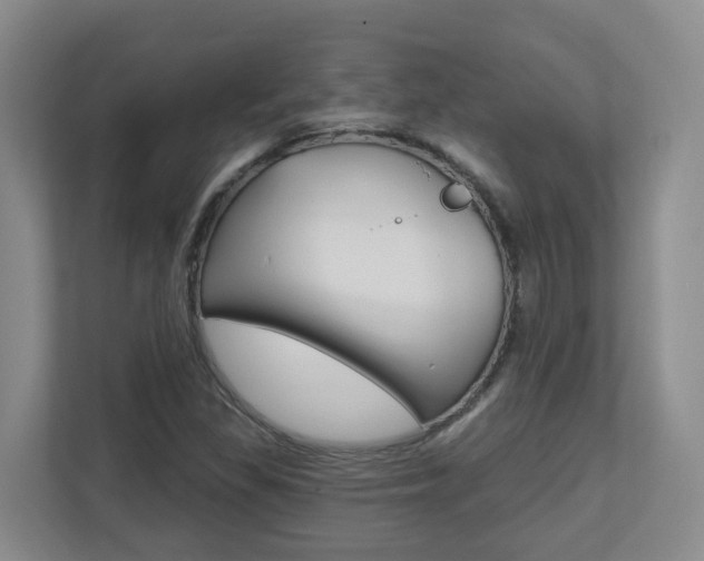 X0000112721309200908200938