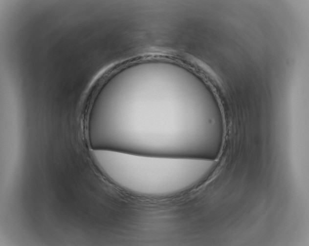 X0000112721310200908200938