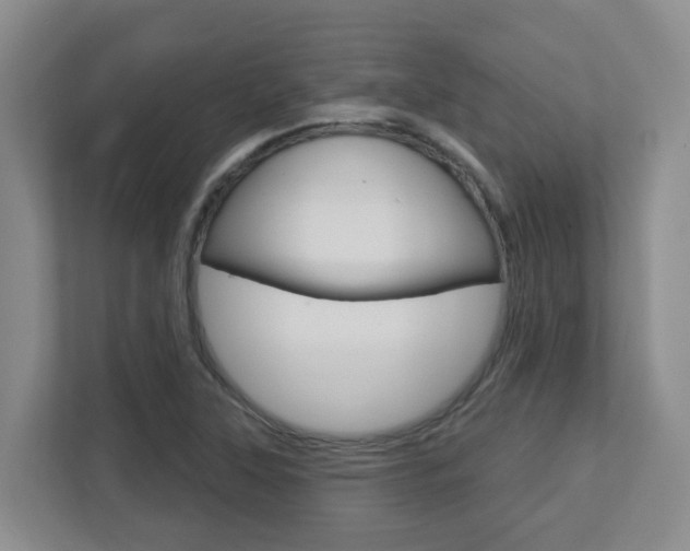 X0000112721315200908200939