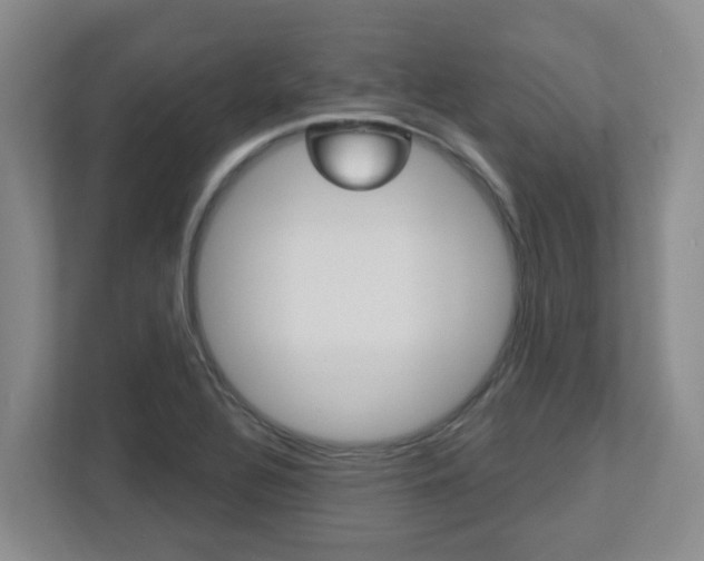 X0000112721320200908200939