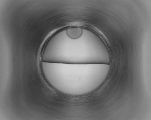 X0000112721323200908200939