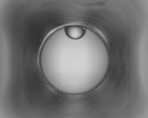 X0000112721324200908200939