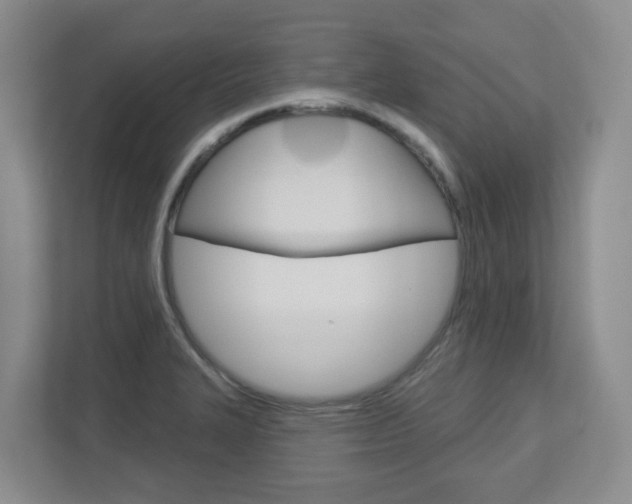 X0000112721327200908200939