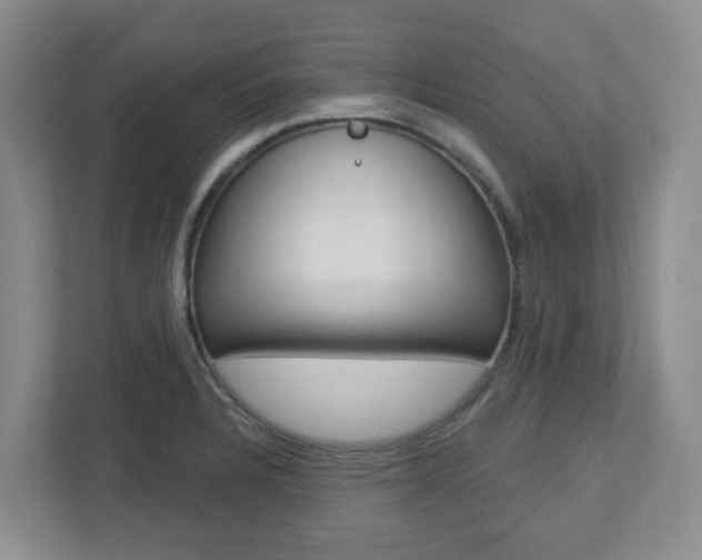 X0000112721328200908200939