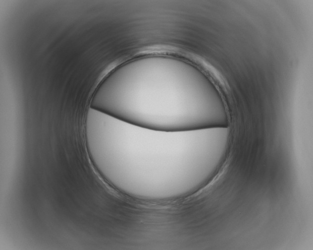 X0000112721329200908200939