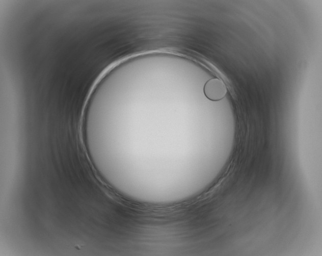 X0000112721332200908200939