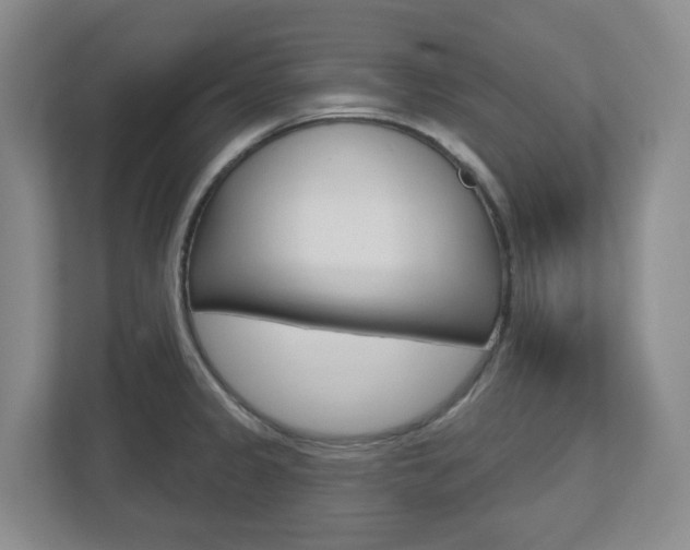 X0000112721333200908200939