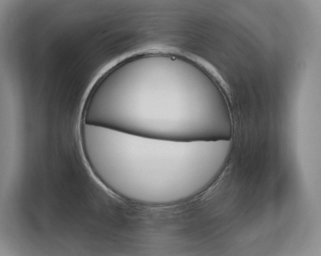 X0000112721335200908200939