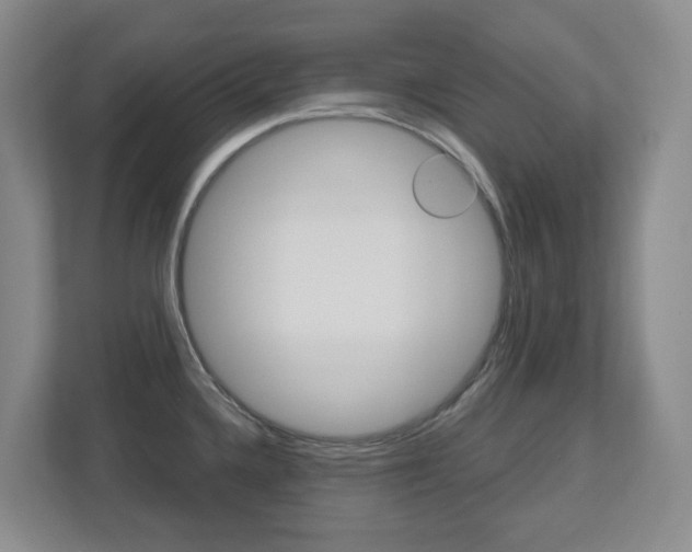 X0000112721336200908200939