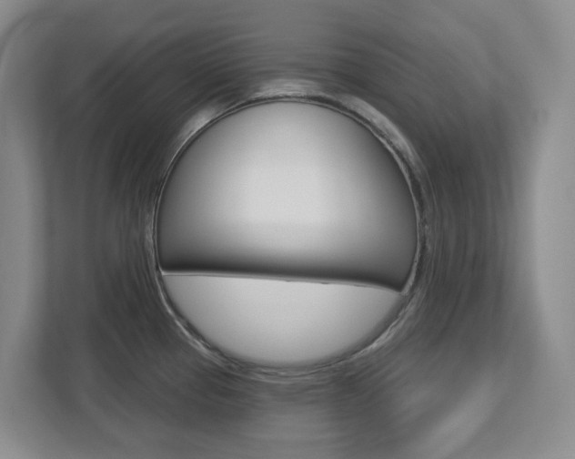 X0000112721337200908200939