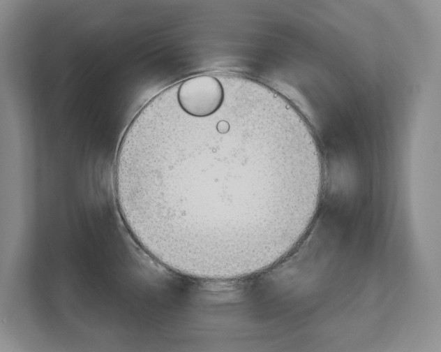 X0000112721338200908200939