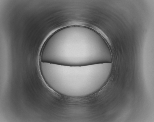 X0000112721339200908200939