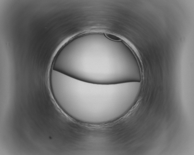 X0000112721341200908200939