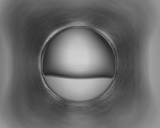 X0000112721342200908200939