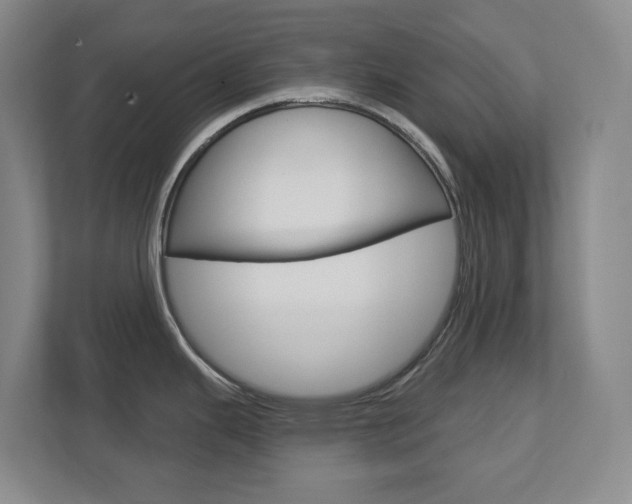 X0000112721343200908200939