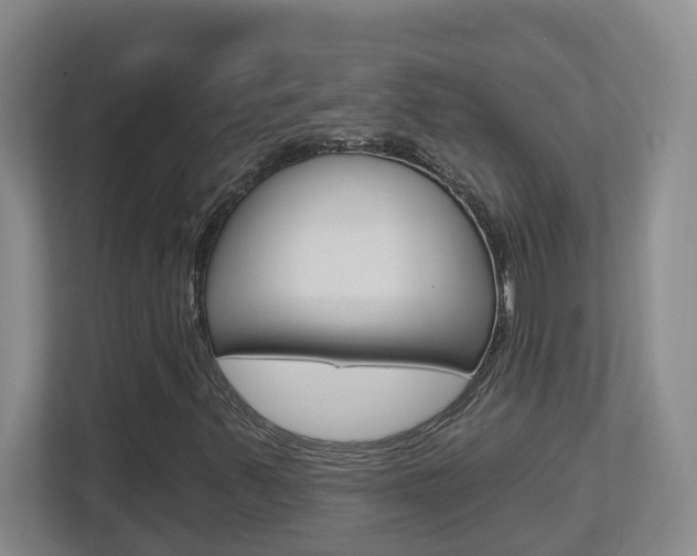 X0000112721347200908200938