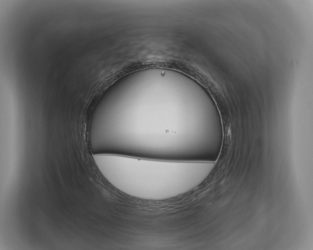 X0000112721348200908200938