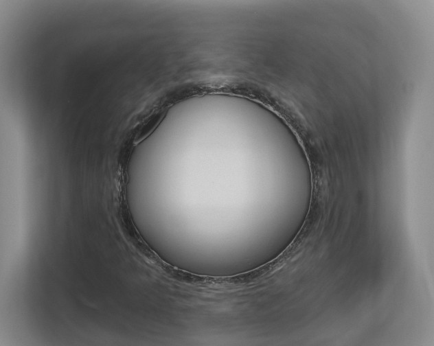 X0000112721349200908200938