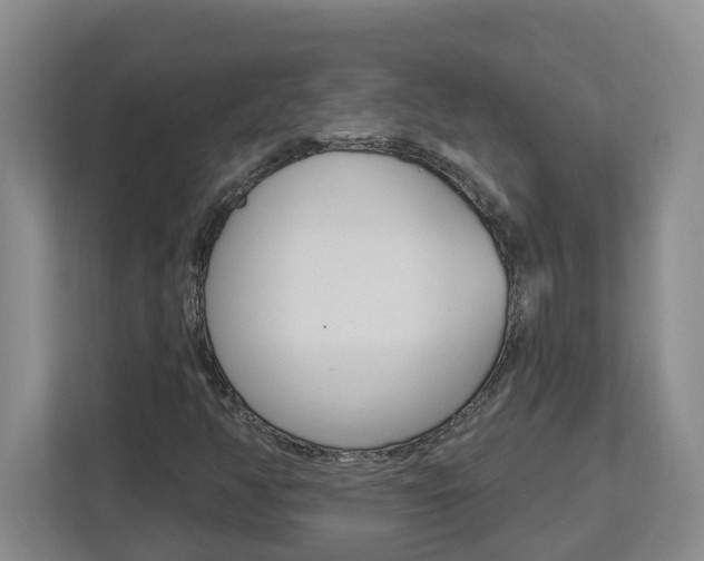 X0000112721350200908200938